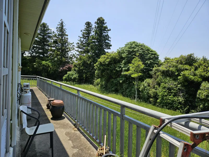 [Odeung-dong, Jeju] Forest-view Healing House in Odeung-dong 28