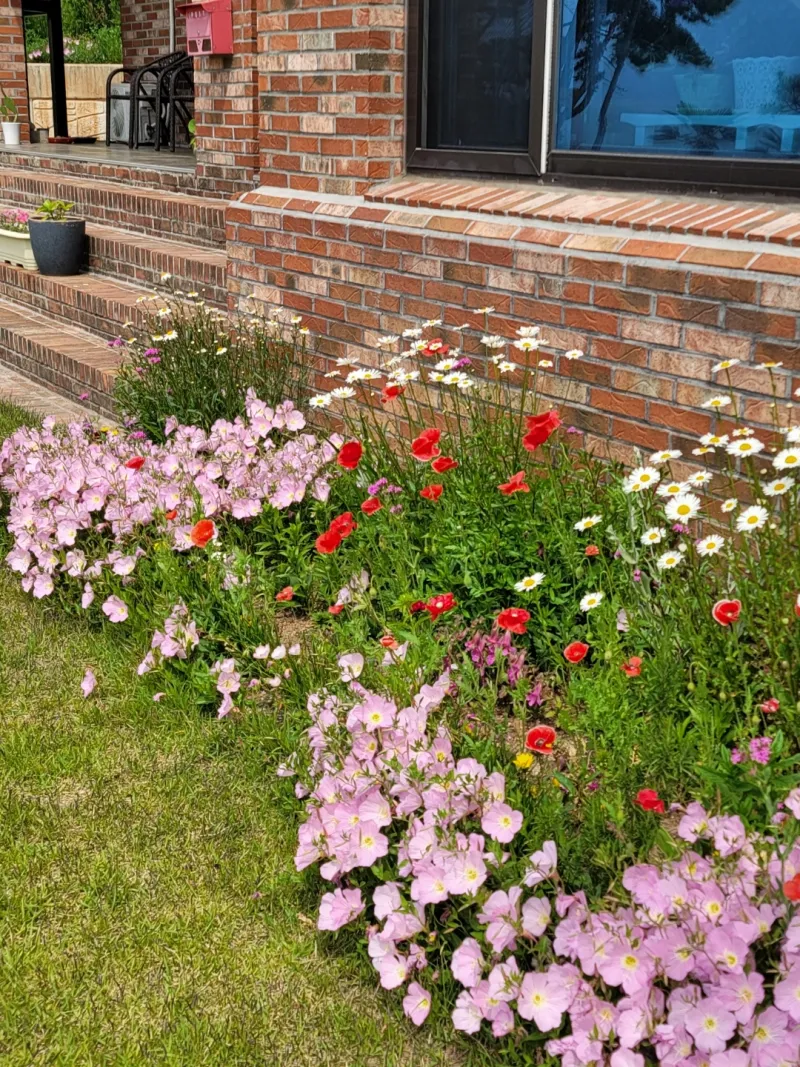 [Namhae] Ocean view, 2nd floor (pet-friendly) detached house with a garden and sea view 116