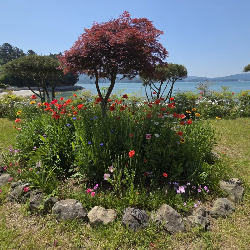 [Namhae] Ocean view, 2nd floor (pet-friendly) detached house with a garden and sea view 82