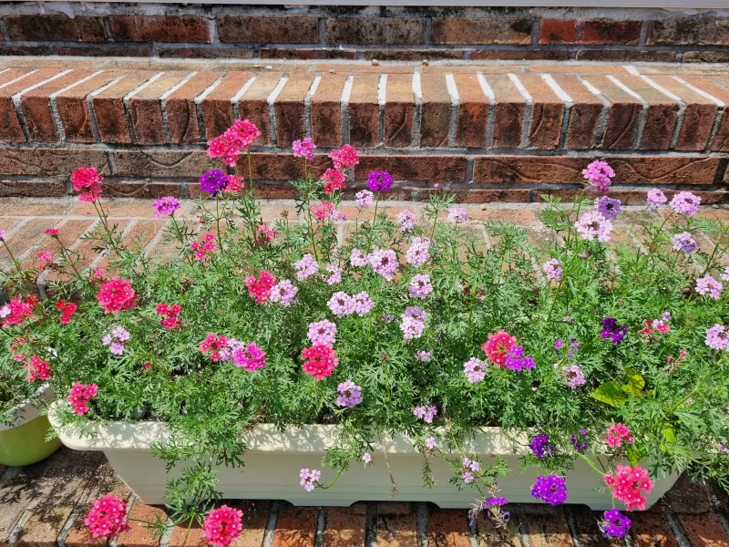 [Namhae] Ocean view, 2nd floor (pet-friendly) detached house with a garden and sea view 111