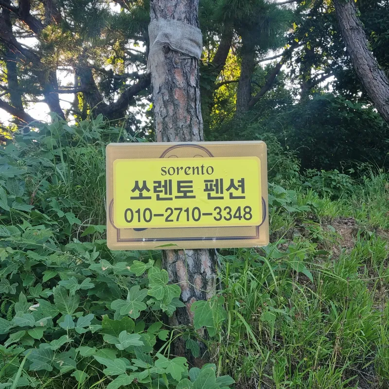 [Namhae] Ocean view, 2nd floor (pet-friendly) detached house with a garden and sea view 101