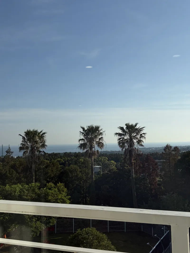 [Saekdal-dong, Seogwipo] South-facing floor-to-ceiling windows with ocean view, dedicated fenced dog playground, Building B, 3rd floor, Two-room 27