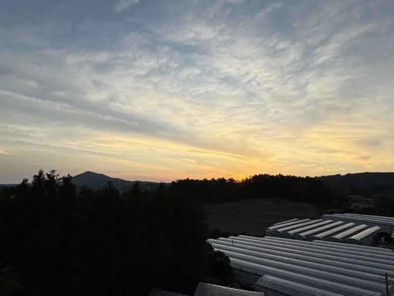 [Saekdal-dong, Seogwipo] South-facing floor-to-ceiling windows with ocean view, dedicated fenced dog playground, Building B, 3rd floor, Two-room 26