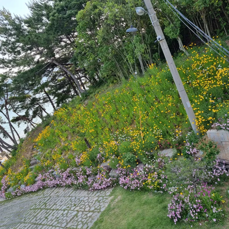 [Namhae] Ocean view, 2nd floor (pet-friendly) detached house with a garden and sea view 114