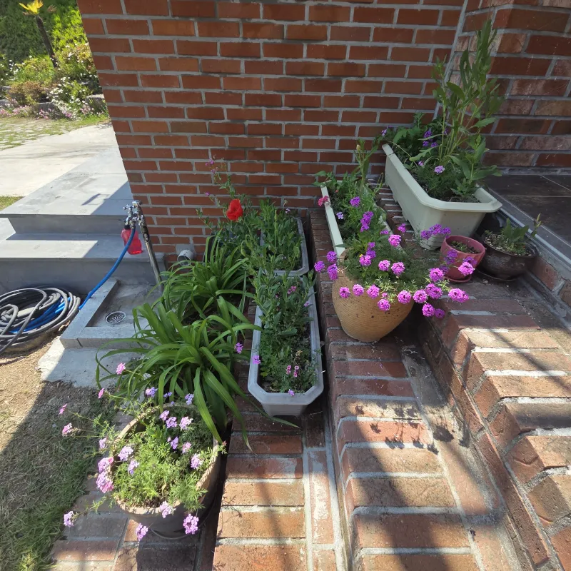 [Namhae] Ocean view, 2nd floor (pet-friendly) detached house with a garden and sea view 107