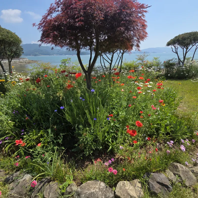 [Namhae] Ocean view, 2nd floor (pet-friendly) detached house with a garden and sea view 106
