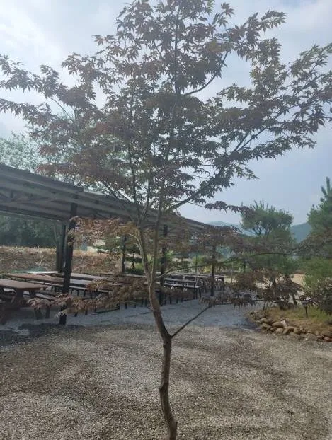 [Yeongwol] Accommodation close to the observatory and right in front of the Donggang River 10