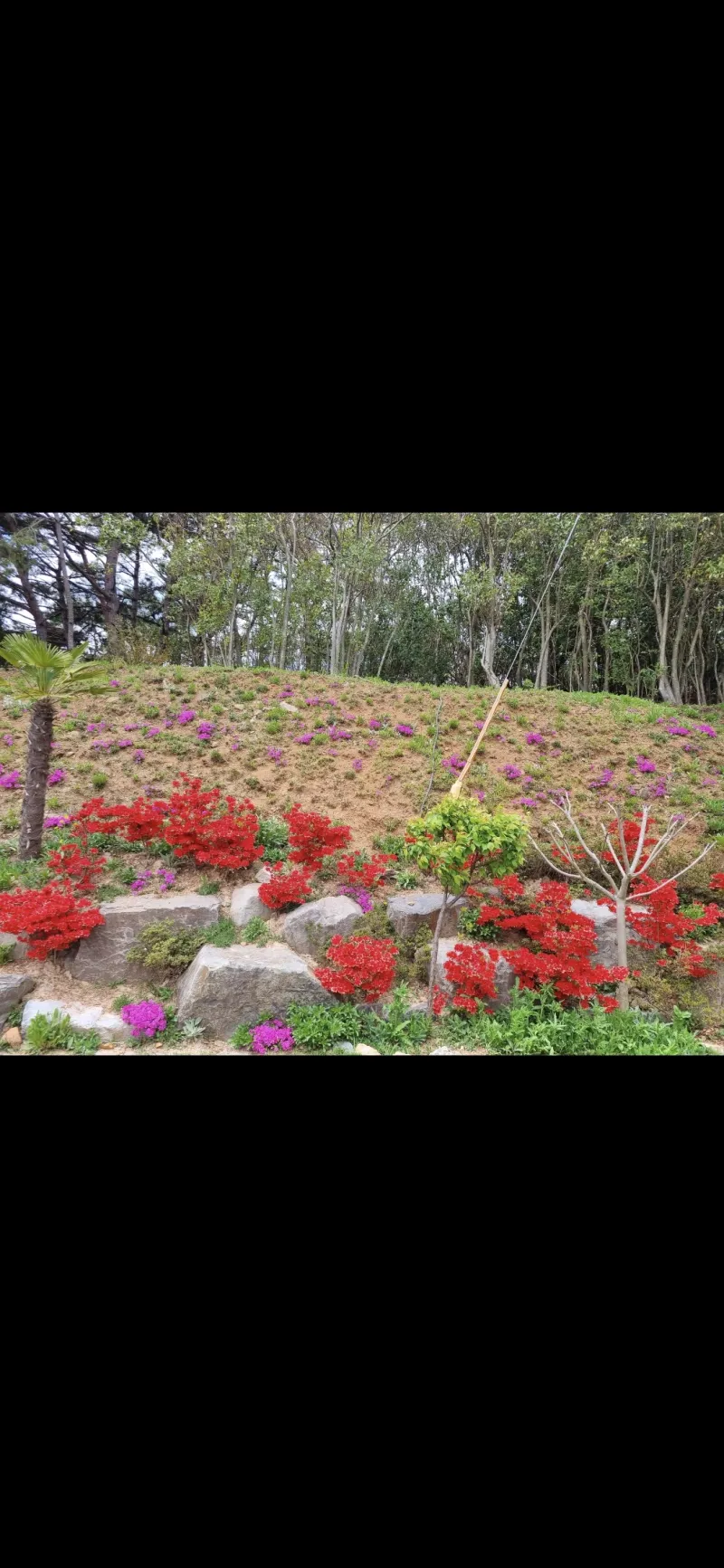[Namhae] Ocean view, 2nd floor (pet-friendly) detached house with a garden and sea view 85