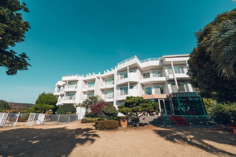 [Saekdal-dong, Seogwipo] South-facing floor-to-ceiling windows with ocean view, dedicated fenced dog playground, Building B, 3rd floor, Two-room 45