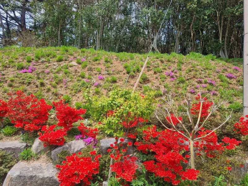 [Namhae] Ocean view, 2nd floor (pet-friendly) detached house with a garden and sea view 110