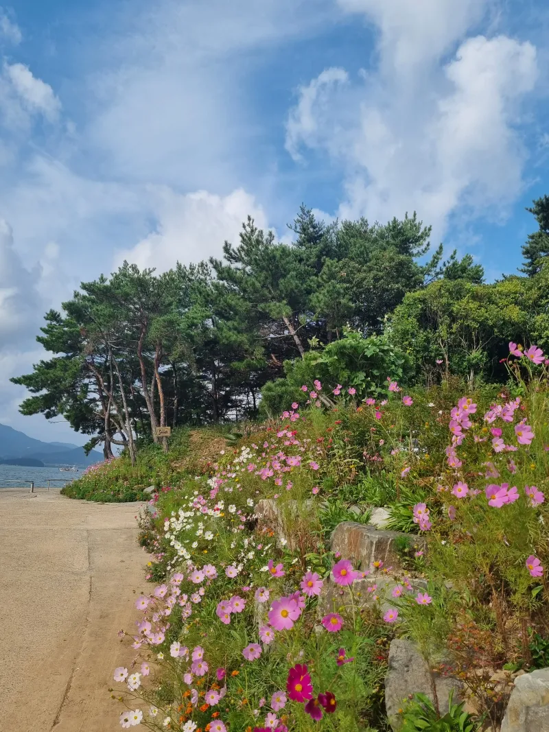 [Namhae] Ocean view, 2nd floor (pet-friendly) detached house with a garden and sea view 115