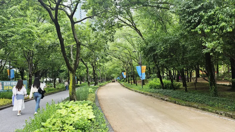 [Seongdong, Seoul] Clean first-floor two-room apartment 30 seconds from Seoul Forest Park, Ttukseom Station, Seoul Forest Station 33