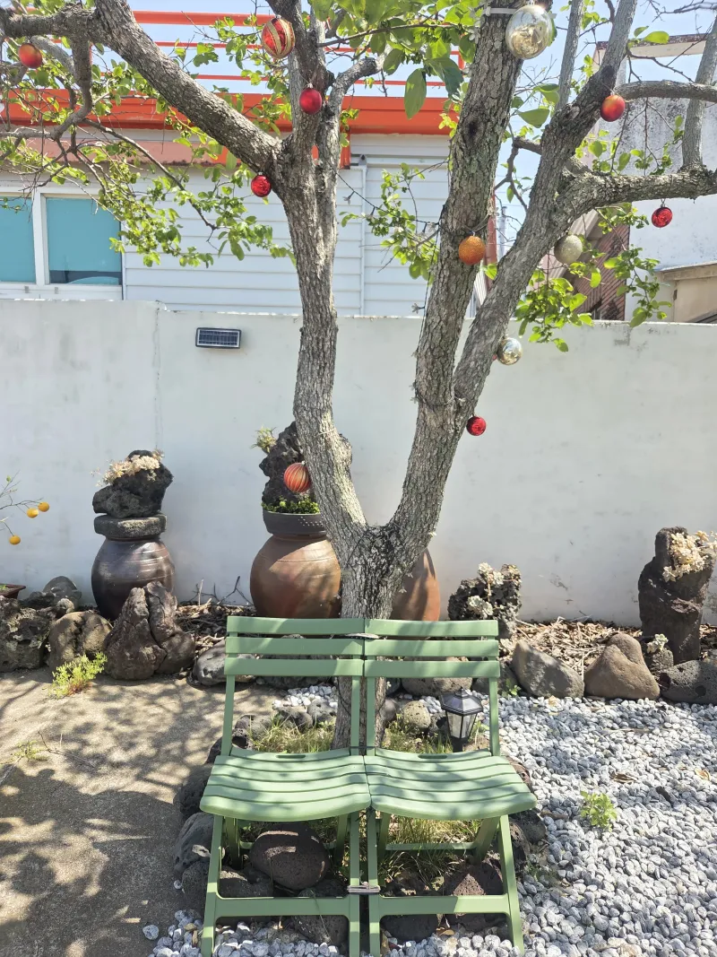 [제주 한경] 서쪽스테이 조용한 제주, 감성을 담은 하루 49