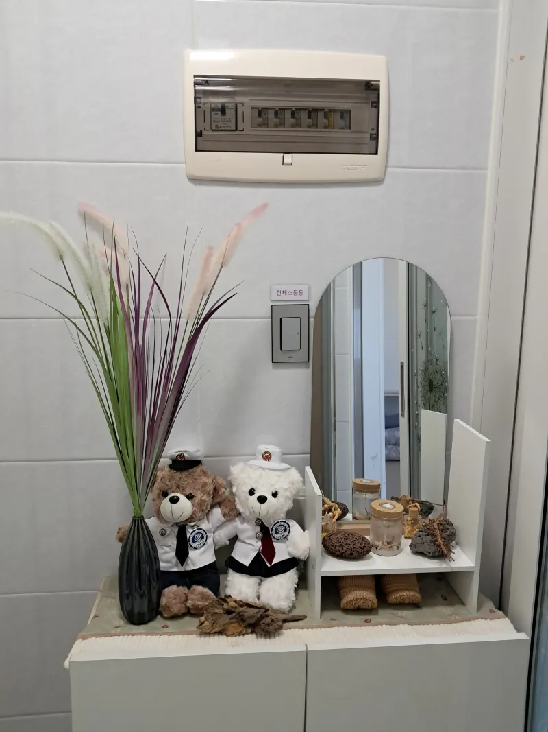 [제주 구좌] 김녕 뷰가 좋은 김녕근처 오션뷰 6