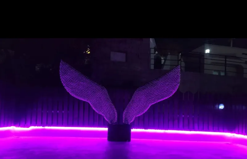 [Tongyeong] Dongpirang Sea View / Hotspot for Night View / Wing Photo Zone / Excellent Accessibility / Tourist Attraction 15
