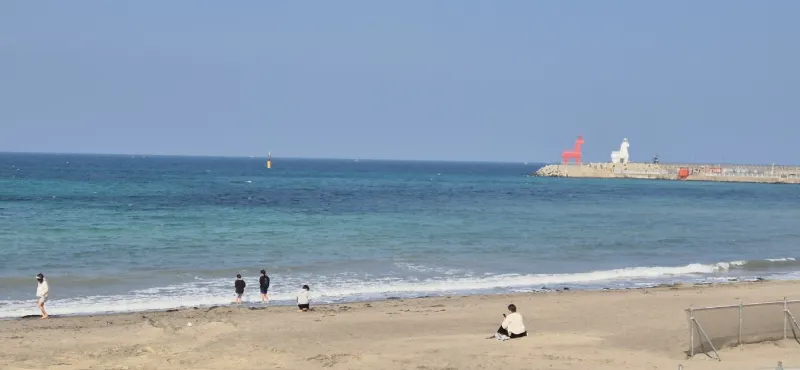 [Naedo, Jeju][Jeju Airport] 15 minutes to the beach, 5 minutes to the coastal road, 200m to the massage chair and Styler 29