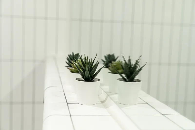[제주 한경][제주 한강] 석양이 아름다운 집 29