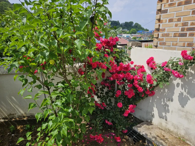 [Gongju] Dallunjae _ A space where complete rest is possible in the courtyard garden 16