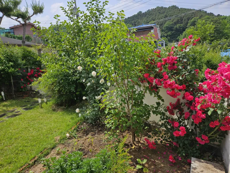 [Gongju] Dallunjae _ A space where complete rest is possible in the courtyard garden 15