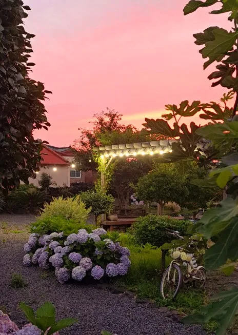 [Hangyeong, Jeju] Lowest price emotional detached house 23