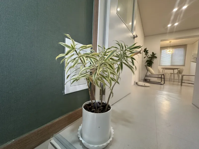 [Nam-gu, Gwangju] Stylish accommodation within a 5-minute walk in Yangnim-dong 27