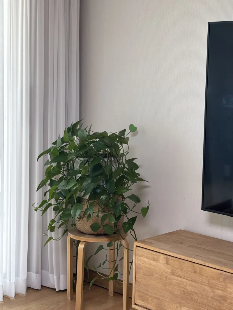 [Guri] Comfortable apartment in Inchang-dong close to Seoul 10