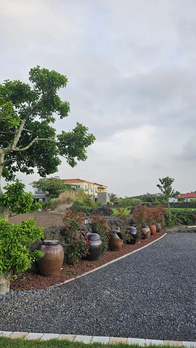 [Hangyeong, Jeju] A quiet accommodation in a rural village 17