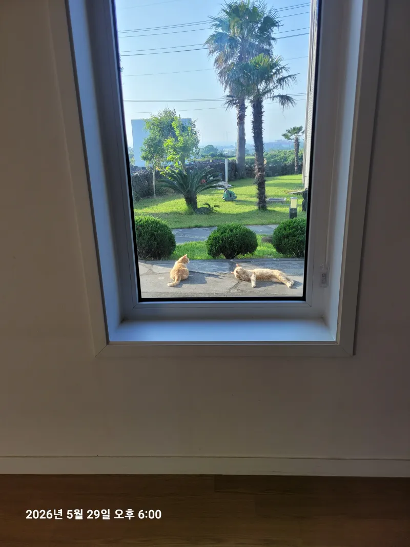 [Hallim, Jeju] Private Pension with Ocean View A 18