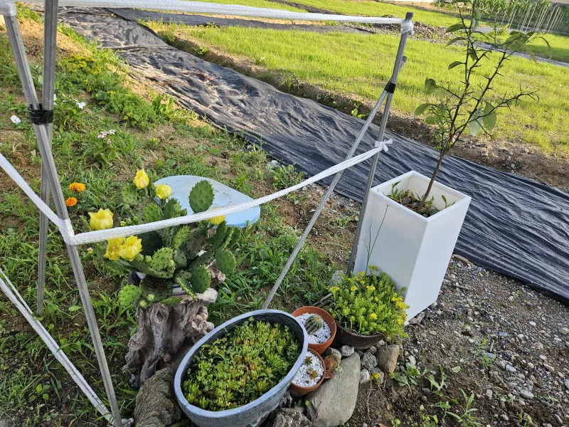 [Nonsan][Nonsan, South Chungcheong Province] #RuralLiving: A detached house with a spacious yard, terrace, and living room. 27