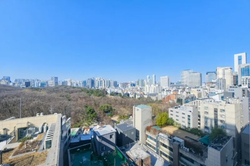 [서울 강남] 역세권 신축 2룸 2베드 22
