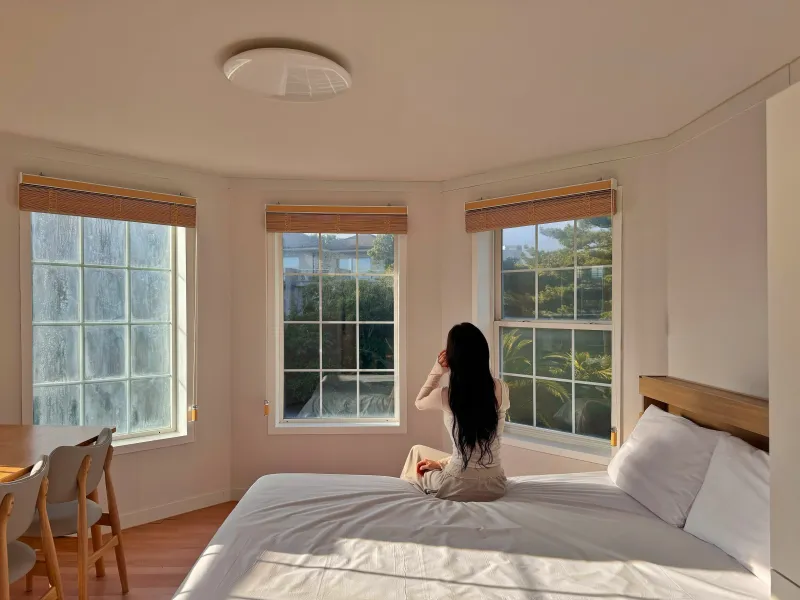 [Bomok-dong, Seogwipo] Free entry for 1 pet, 14 pyeong/Separated Studio - Seogwipian Bomok PET 4