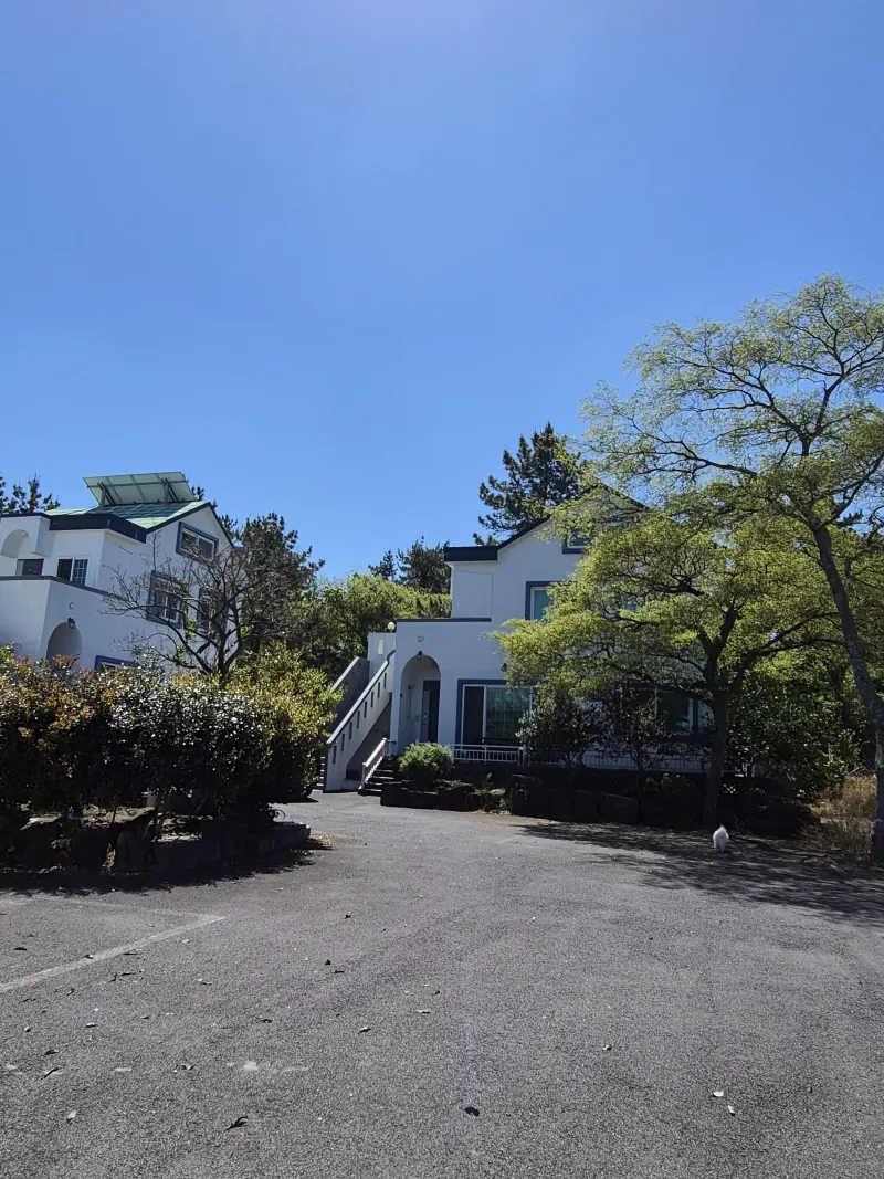 [Hallim, Jeju][Jeju Hyeopjae] Healing Pension Filled with the Scent of Pine Forest #PetFriendly (Building A, 1st Floor / Two-Room) 34