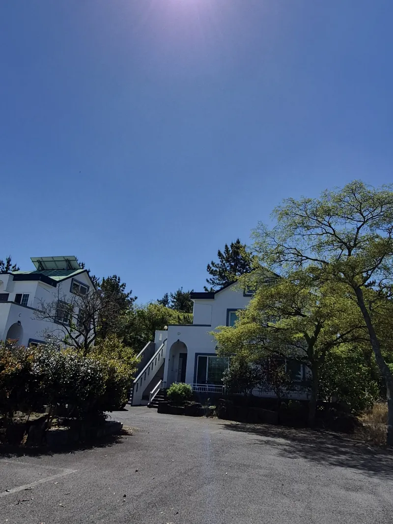 [Hallim, Jeju][Jeju Hyeopjae] Healing Pension Filled with the Scent of Pine Forest #PetFriendly (Building A, 1st Floor / Two-Room) 35