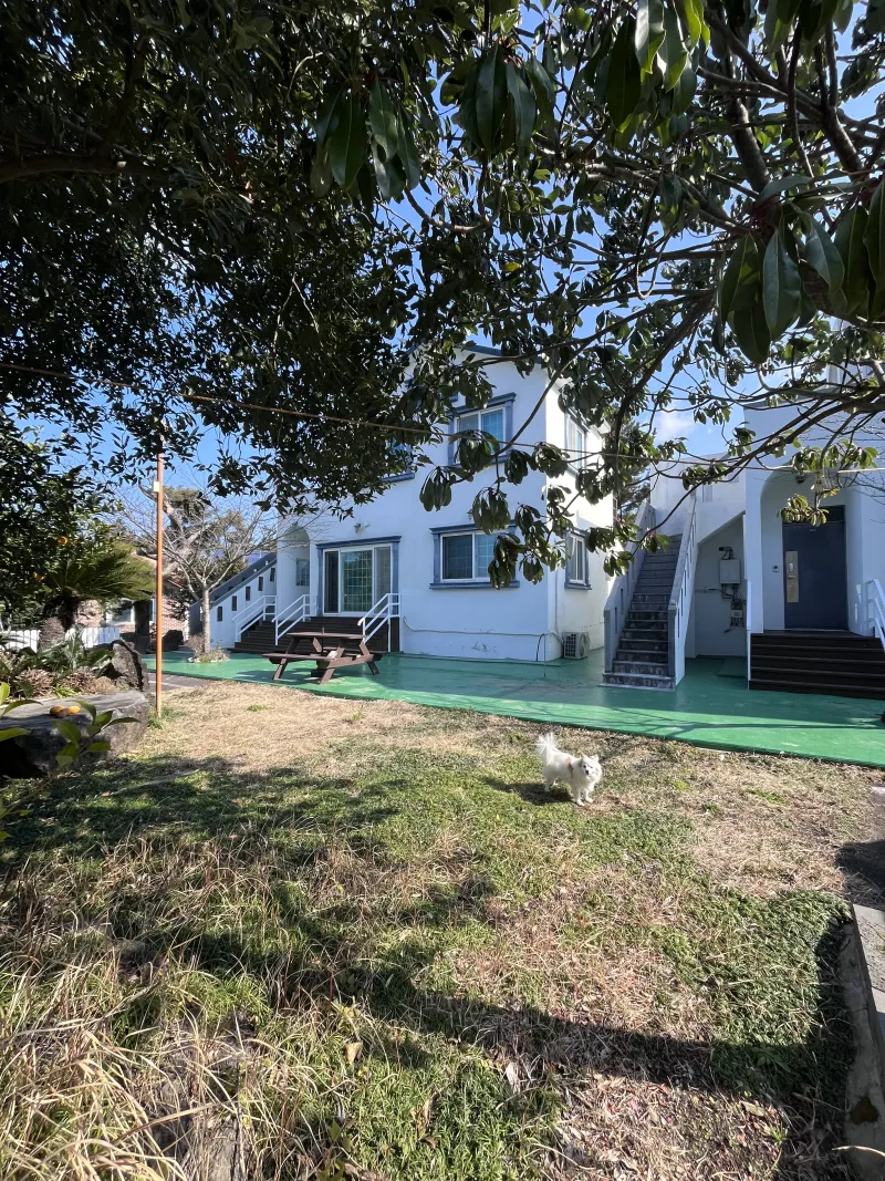 [Hallim, Jeju][Jeju Hyeopjae] Healing Pension Filled with the Scent of Pine Forest #PetFriendly (Building A, 1st Floor / Two-Room) 28