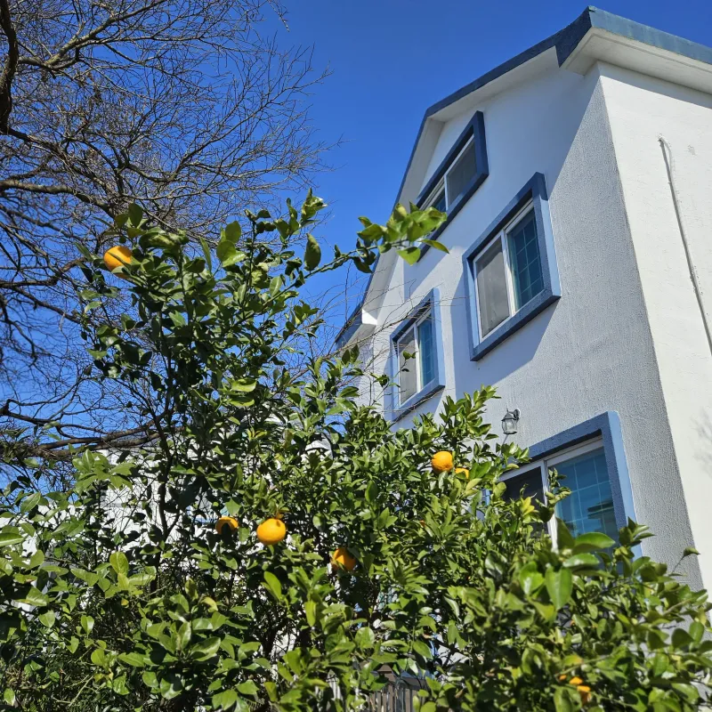 [Hallim, Jeju][Jeju Hyeopjae] Healing Pension Filled with the Scent of Pine Forest #PetFriendly (Building A, 1st Floor / Two-Room) 23