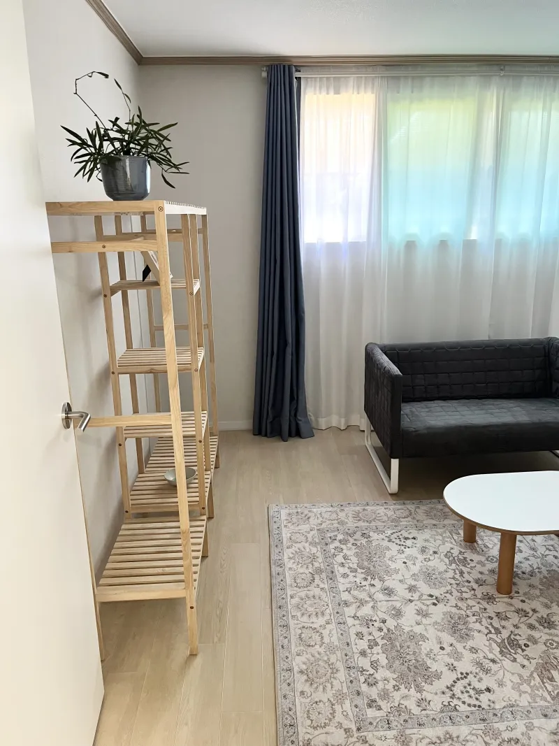 [Gangnam, Seoul] Seolleung Station/Seonjeongneung Station Remodeled 2-Room Instagrammable Illustration House 4