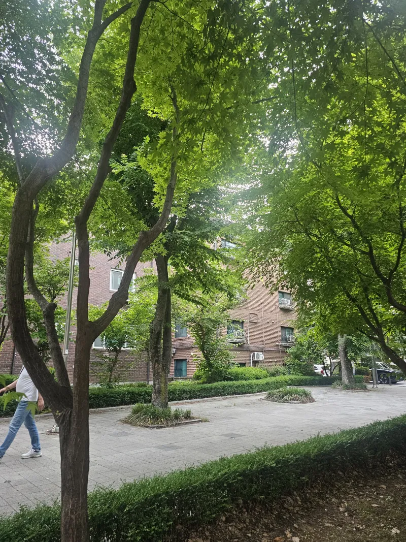 [경기 성남] 미금역/오리역 도보8분 19