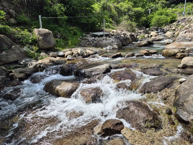 [Yeongju] Independent pension in front of the valley at the foot of Mt. Sobaeksan in Dansan-myeon 41