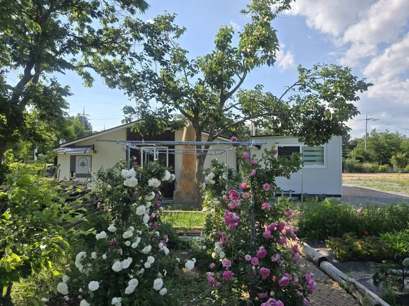 [Goseong][Goseong-gun, Gangwon-do] Camp Blue / Quiet country-style house near the sea 16