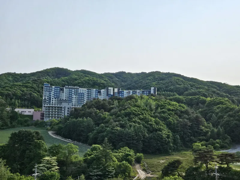 [강원 평창] 휘닉스 봉평 4룸 큰집 10