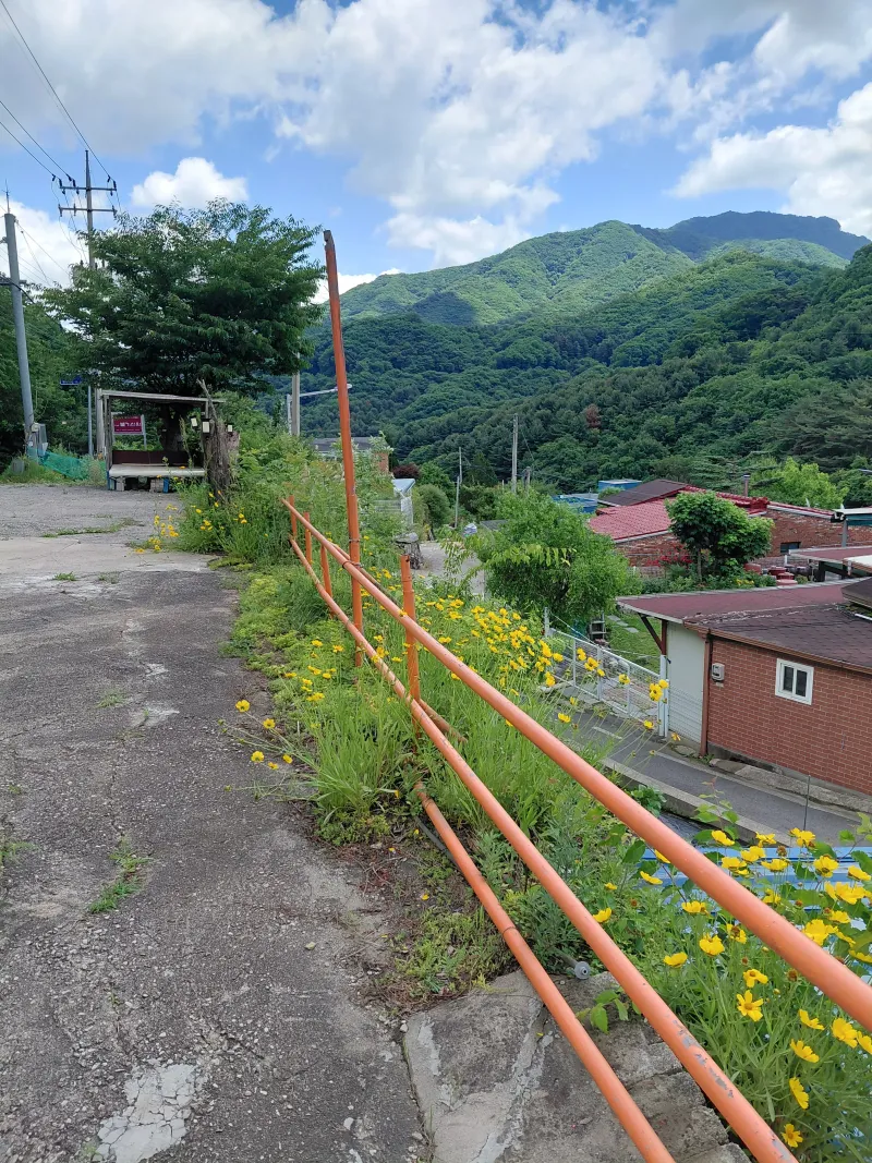 [경기 가평] 별빛  하우스 8