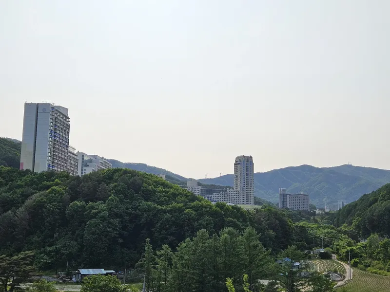 [강원 평창] 휘닉스 봉평 4룸 큰집 11