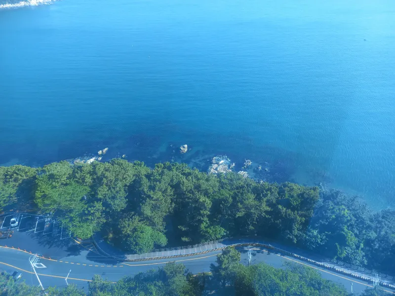 [Yeongdo, Busan] Today is a happy day 12
