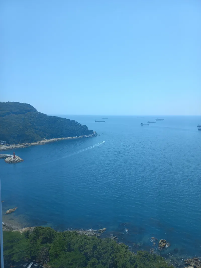 [Yeongdo, Busan] Today is a happy day 10