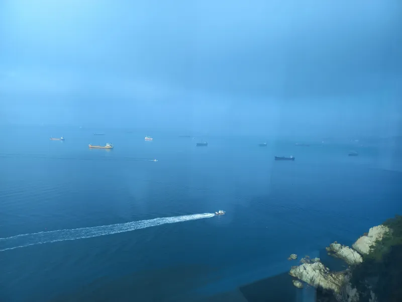 [Yeongdo, Busan] Today is a happy day 9