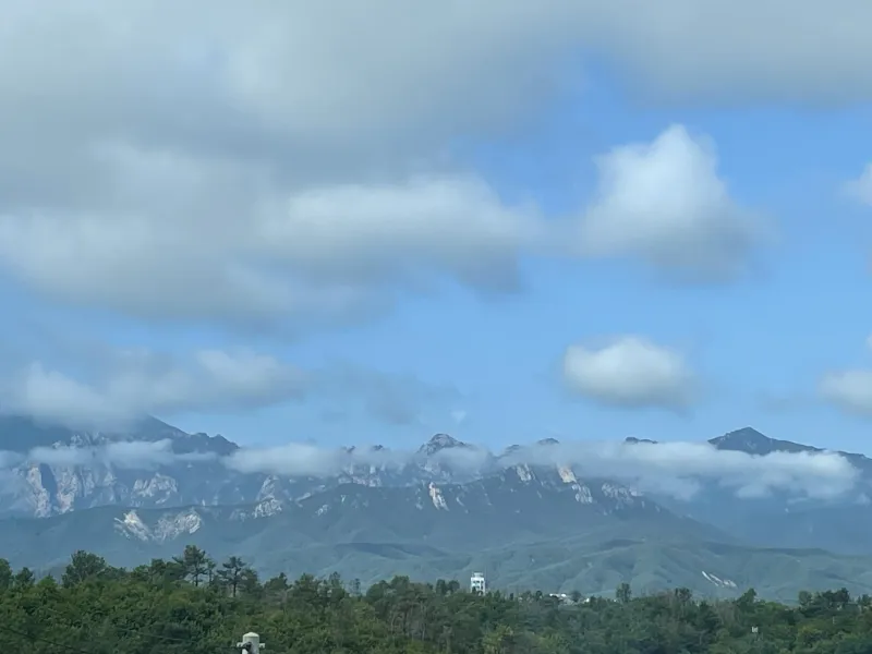 [Goseong] Gangwon-do Goseong Healing Stay 25