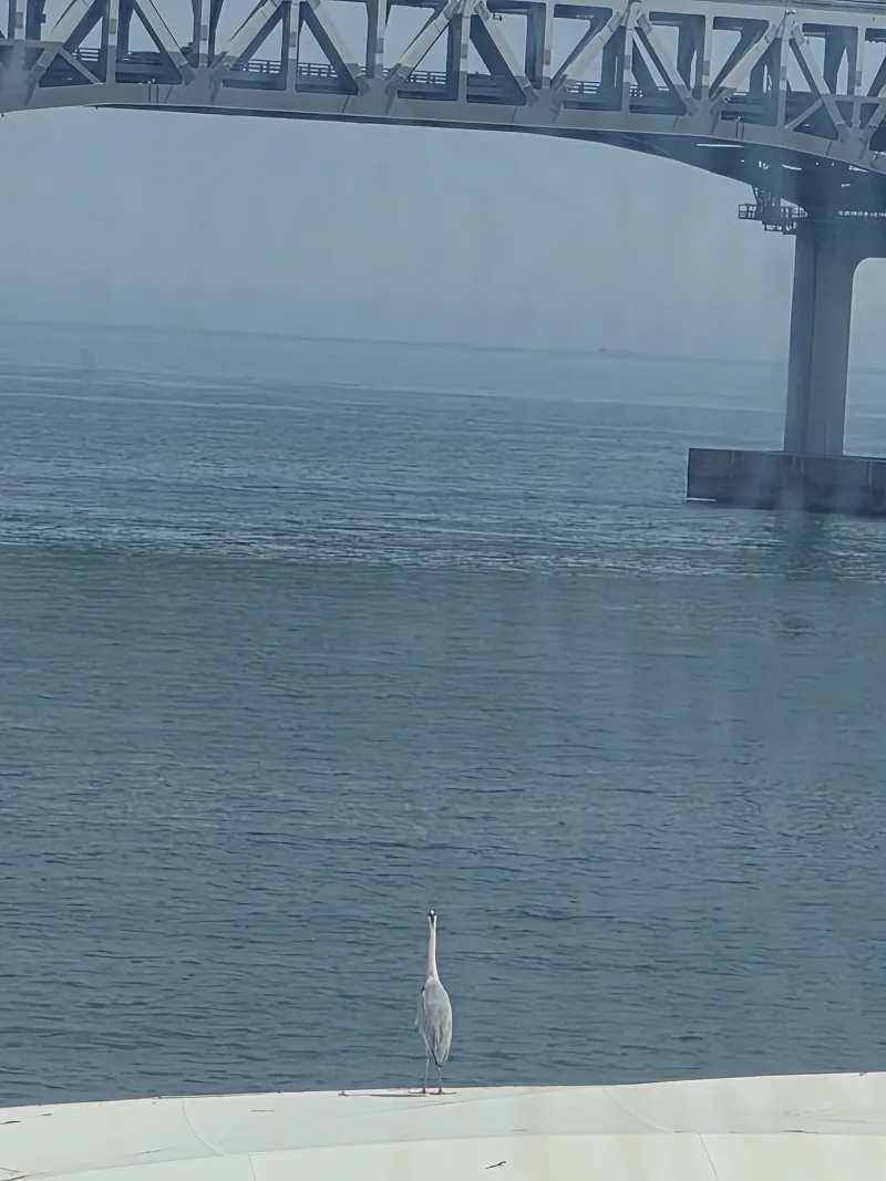 [부산 수영][바다네] 바다근처 조용하고 깨끗한 휴식처*(무료주차) 21