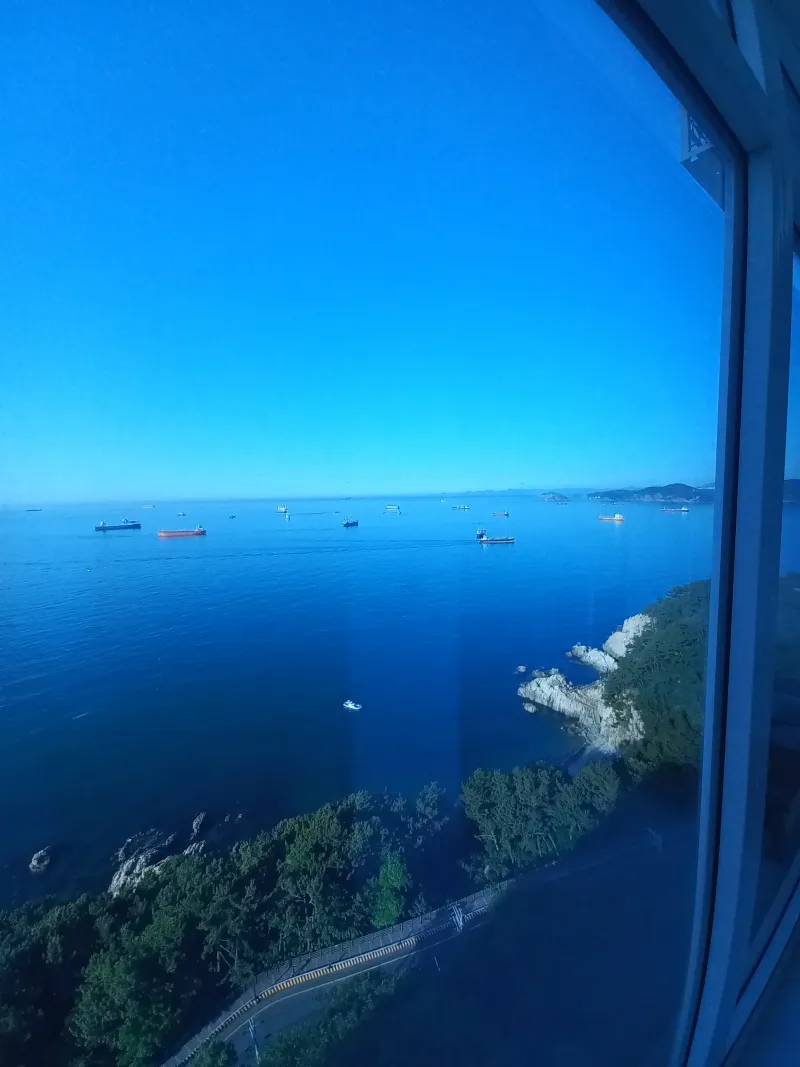 [Yeongdo, Busan] Today is a happy day 11