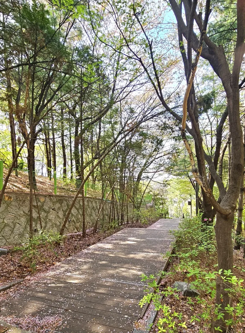 [Mapo, Seoul] Hongdae Wow Forest Book Residence (Fully Furnished) 16