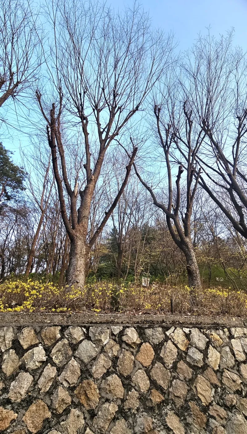 [Mapo, Seoul] Hongdae Wow Forest Book Residence (Fully Furnished) 15